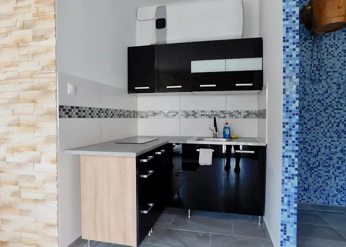 Vandor Vendeghaz Pensiune